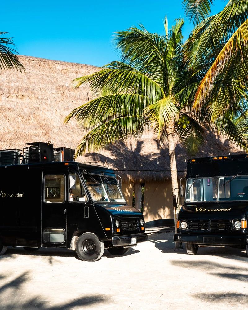 The Beauty Truck under palm trees beside the beach